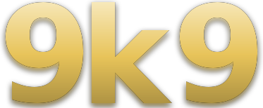 9k9 logo
